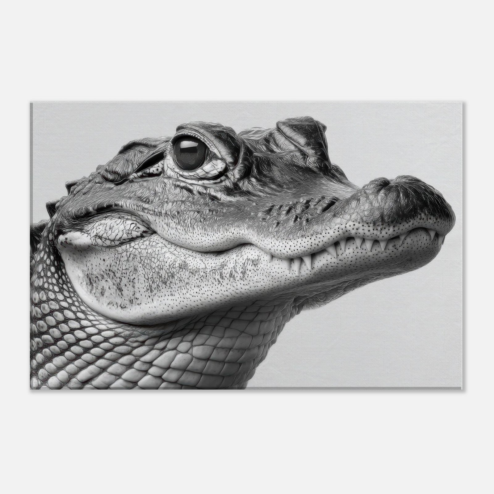 779eb893-4c71-4569-b1b8-a05c679c0ad7