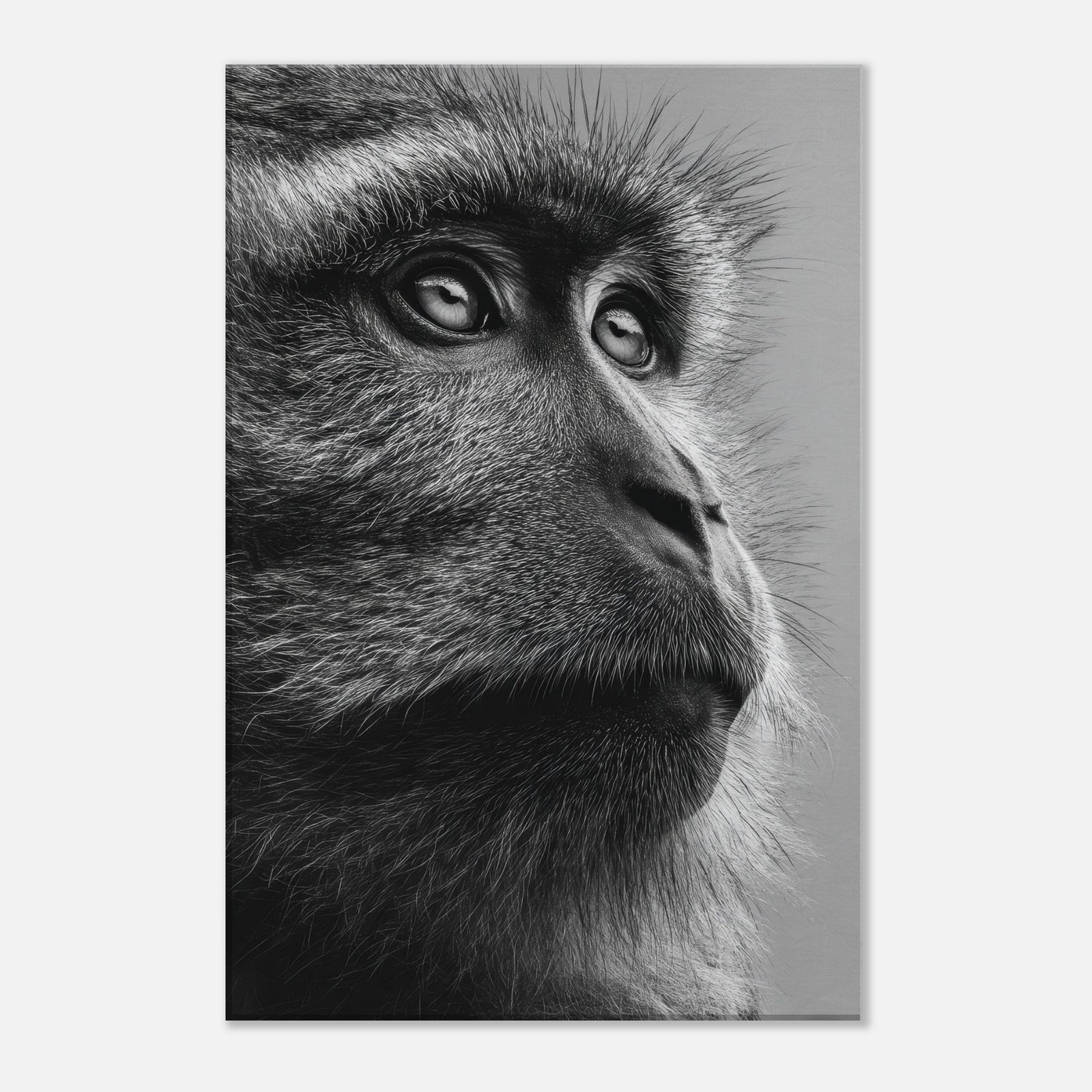 78469da6-4e06-4b06-a1f1-139a66afaeea