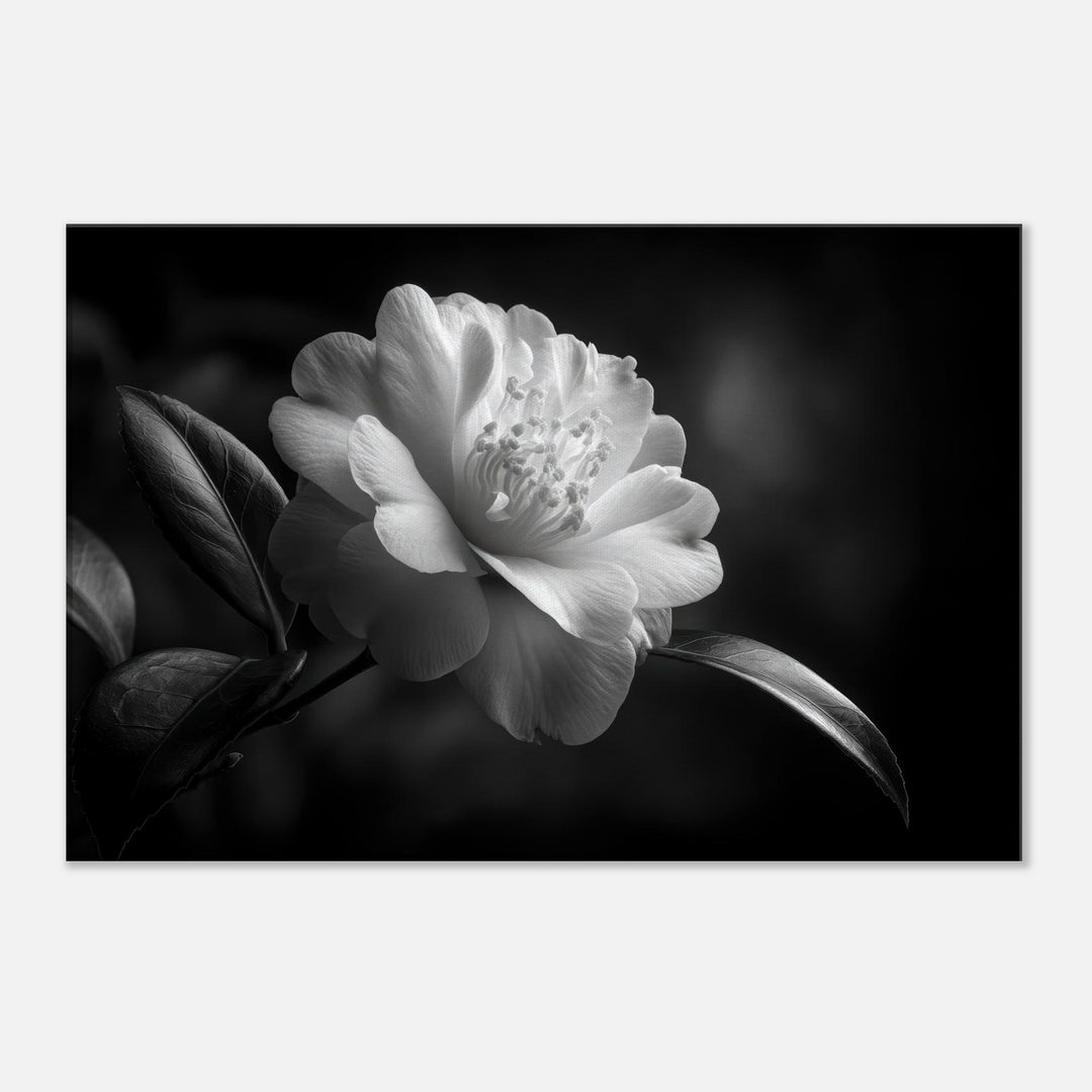 785d407a-ea8b-494a-9292-e713f4e2e380