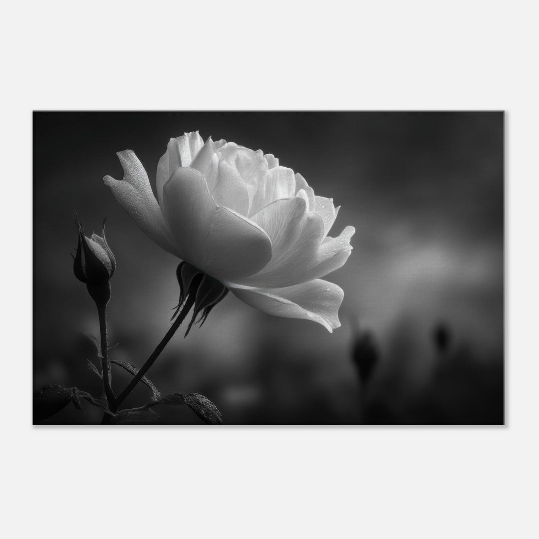 7876b3b3-b1ec-4567-b2a6-9bb5cdf5fc77