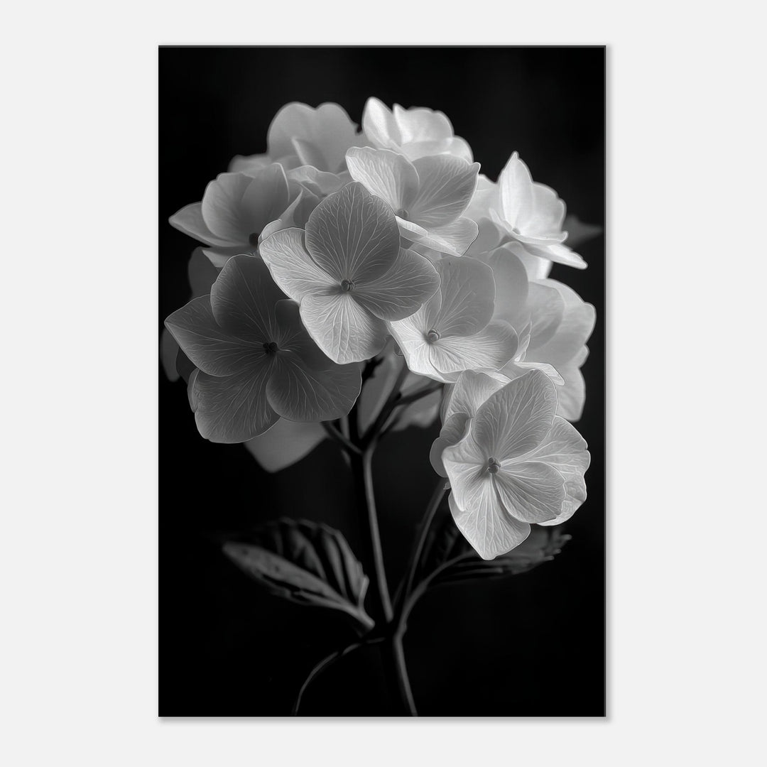 795c705f-6298-468a-8742-c72ab59a6e4d