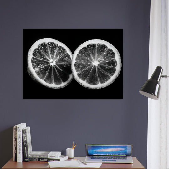 7963202c-6c06-497f-a8e0-85d8088f7681