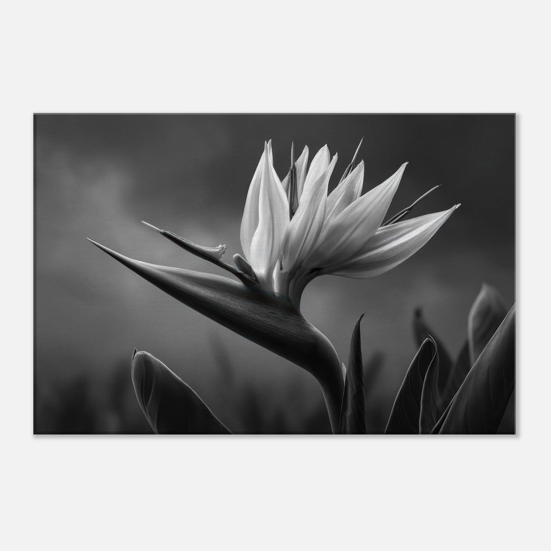 7ac4ea46-3b4b-4de9-a43a-3454e3b82041