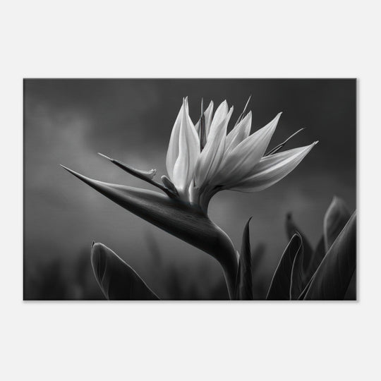 7ac4ea46-3b4b-4de9-a43a-3454e3b82041