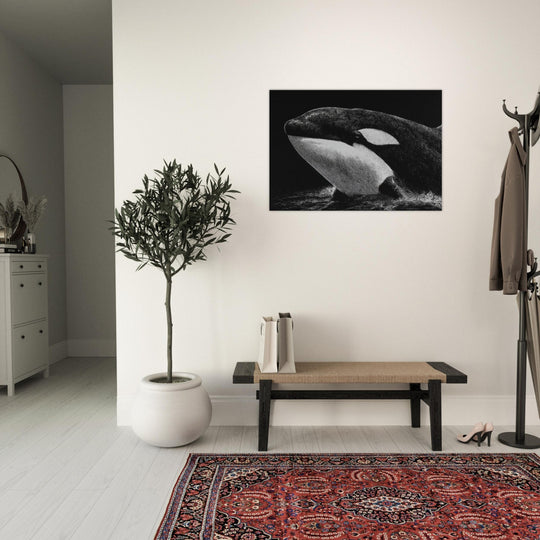 7af4a230-a9cf-44c5-ba78-50fc9e2aa544