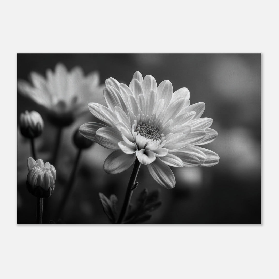 7b743484-0ad0-4c6d-ac7f-68f9c98e1c8e