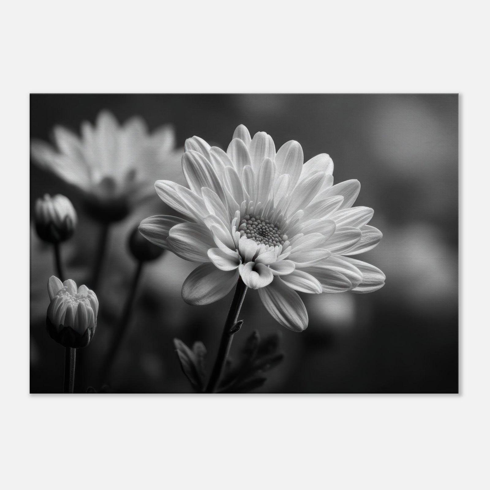 7b743484-0ad0-4c6d-ac7f-68f9c98e1c8e