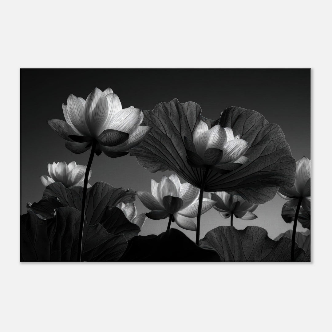 7bdaa9c7-5e1e-4f20-8d56-4771bb0dadb4