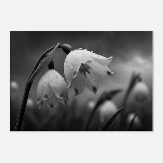 7bdd0872-5572-43db-a4cf-44268108b521