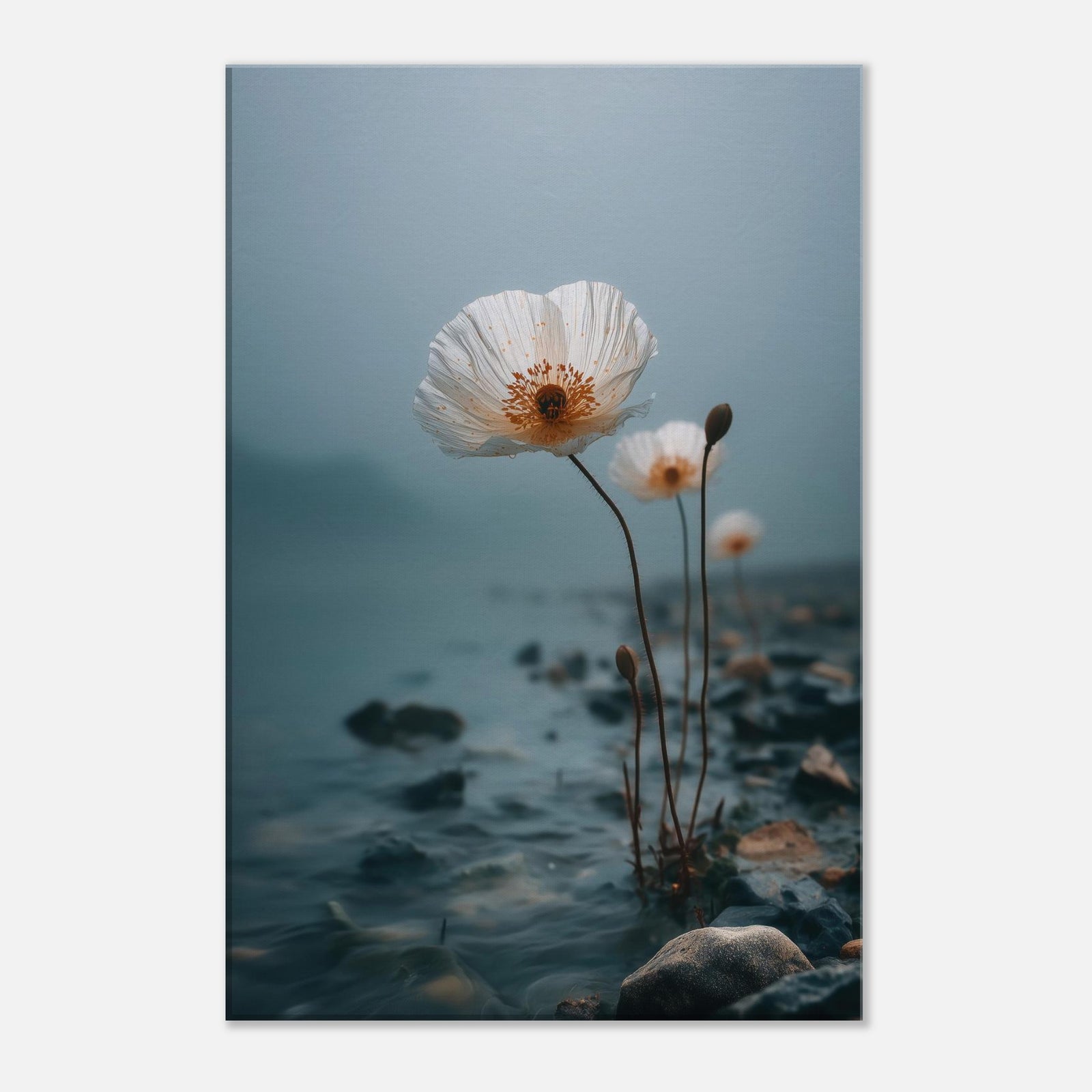 7c78c684-4829-4abf-88b5-71518d9b241e