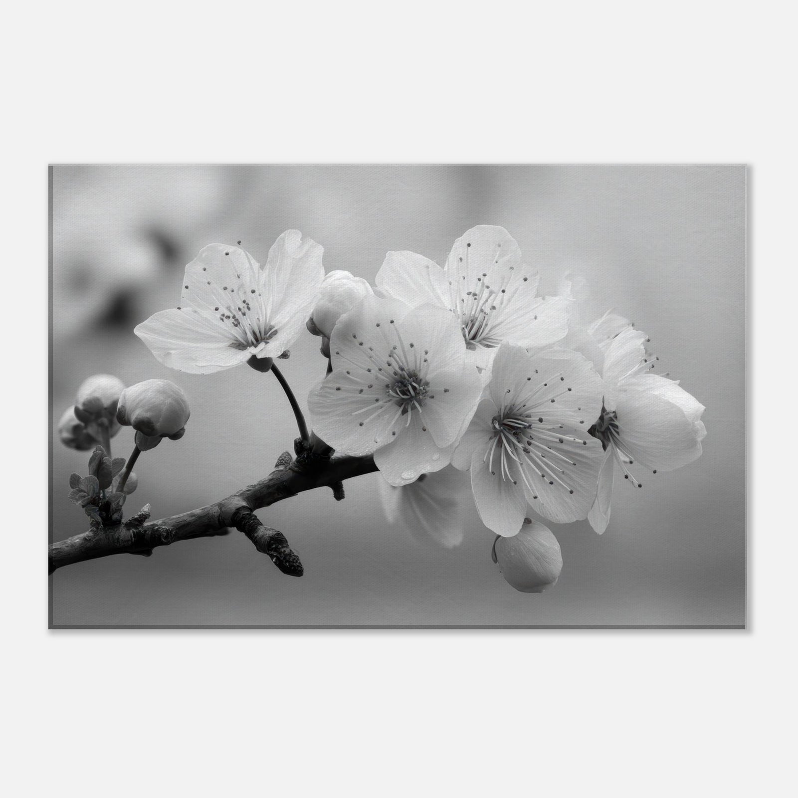 7c8c6f99-30bf-401b-8b6c-64abfacac86b