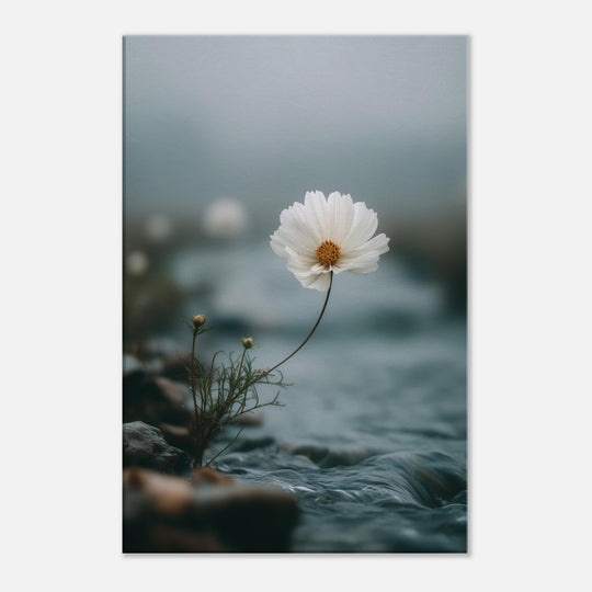 7cde1709-91cd-46b4-8fb2-14e4e84ae9a4