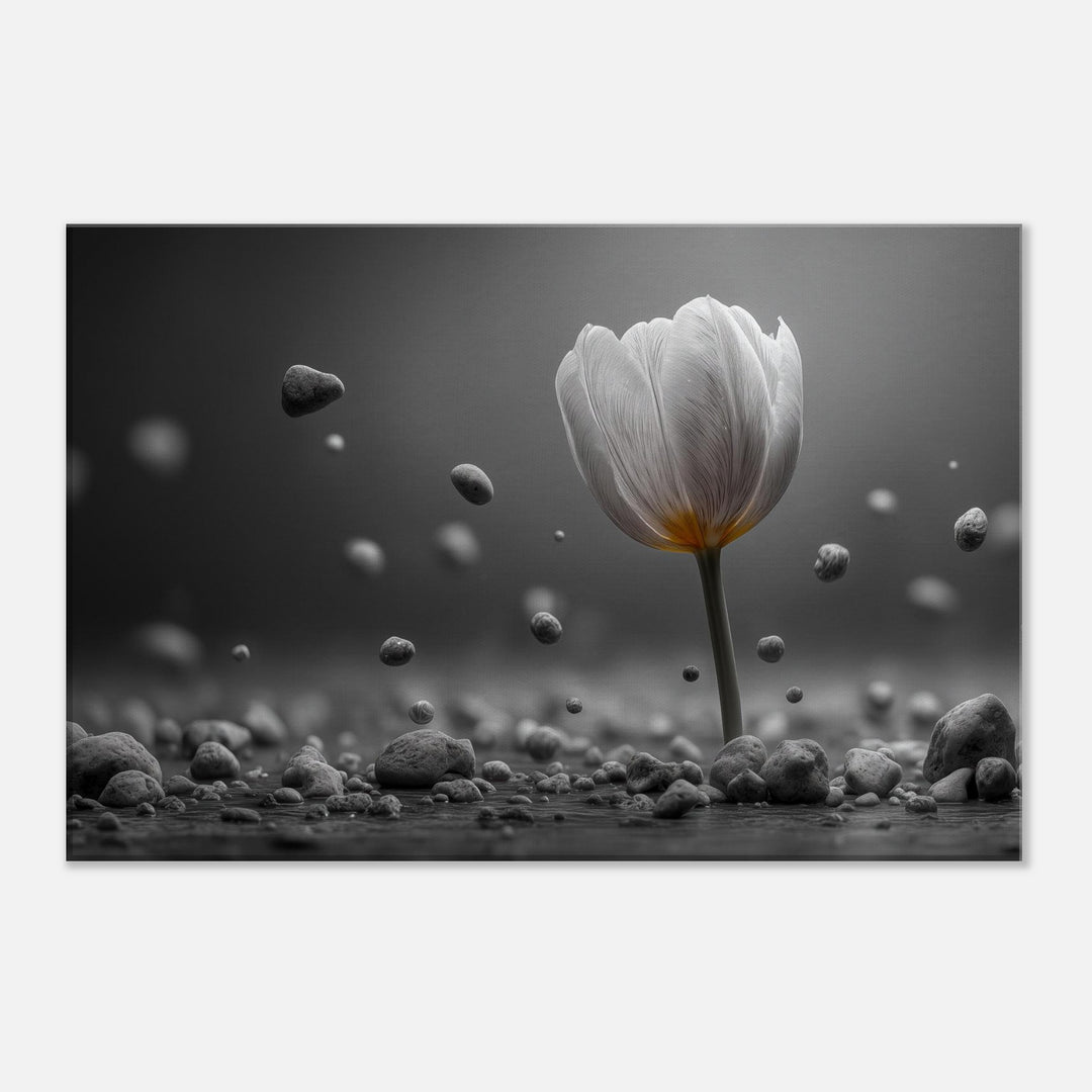 7d48918c-c53d-4e7c-9869-4fccddc2d402