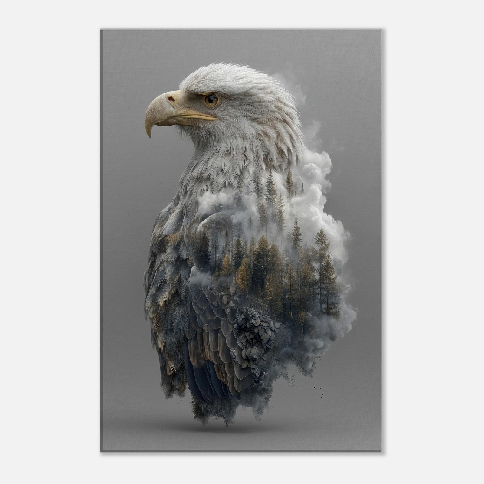 7d864434-48a7-40f8-ac33-6f2c671f560e