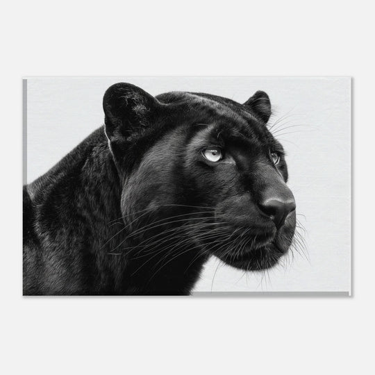 7ddd6405-9577-4f16-aa92-79554eb23b82