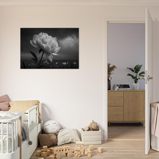 7e56fd57-8eff-4c00-ae2c-5713849214b3