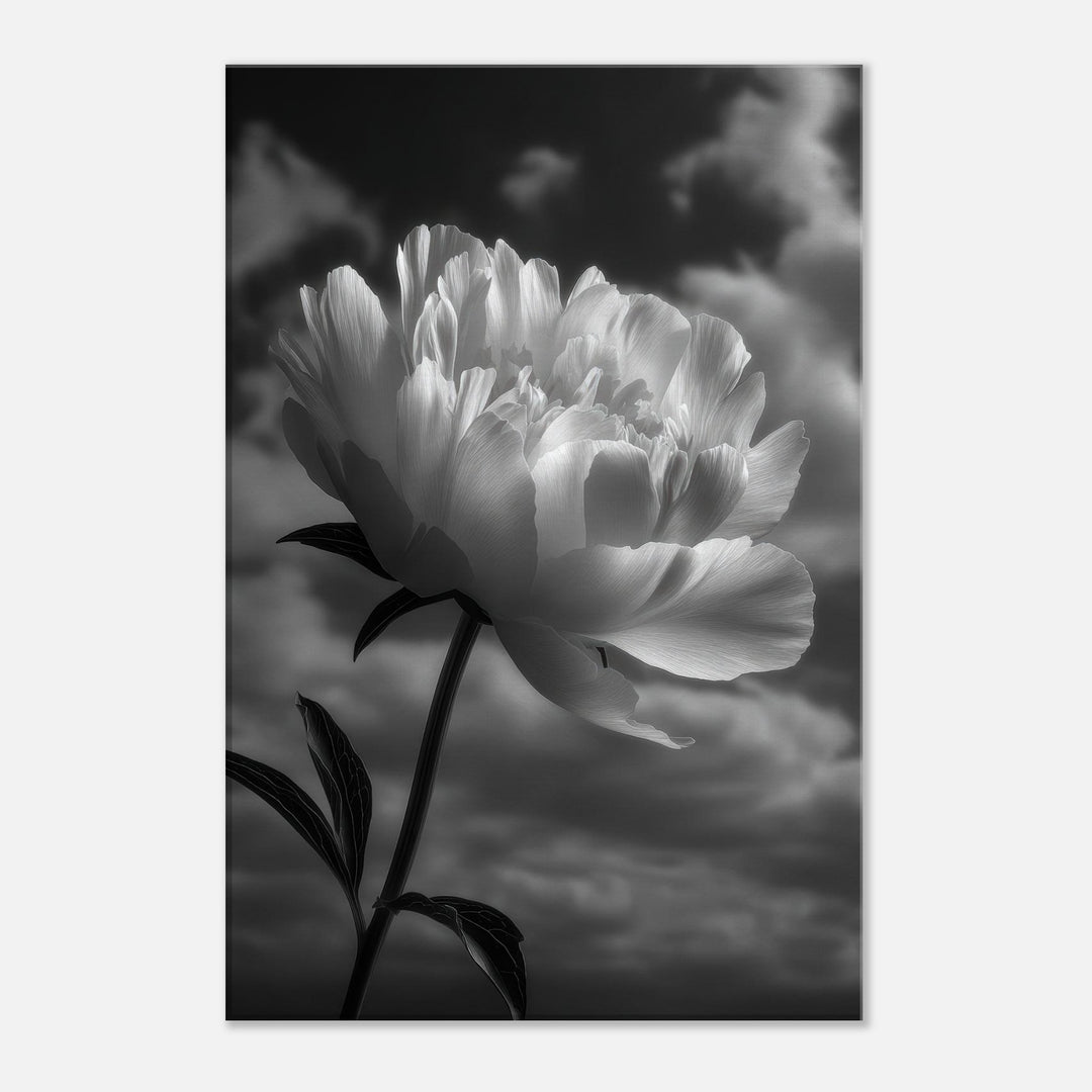 7ea7f007-85d6-404a-bd55-ff7ee17788a0