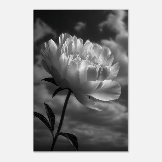 7ea7f007-85d6-404a-bd55-ff7ee17788a0