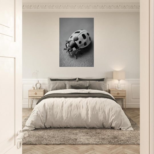 7eef8e8d-95fa-4106-8ffd-ff42a32e74bd