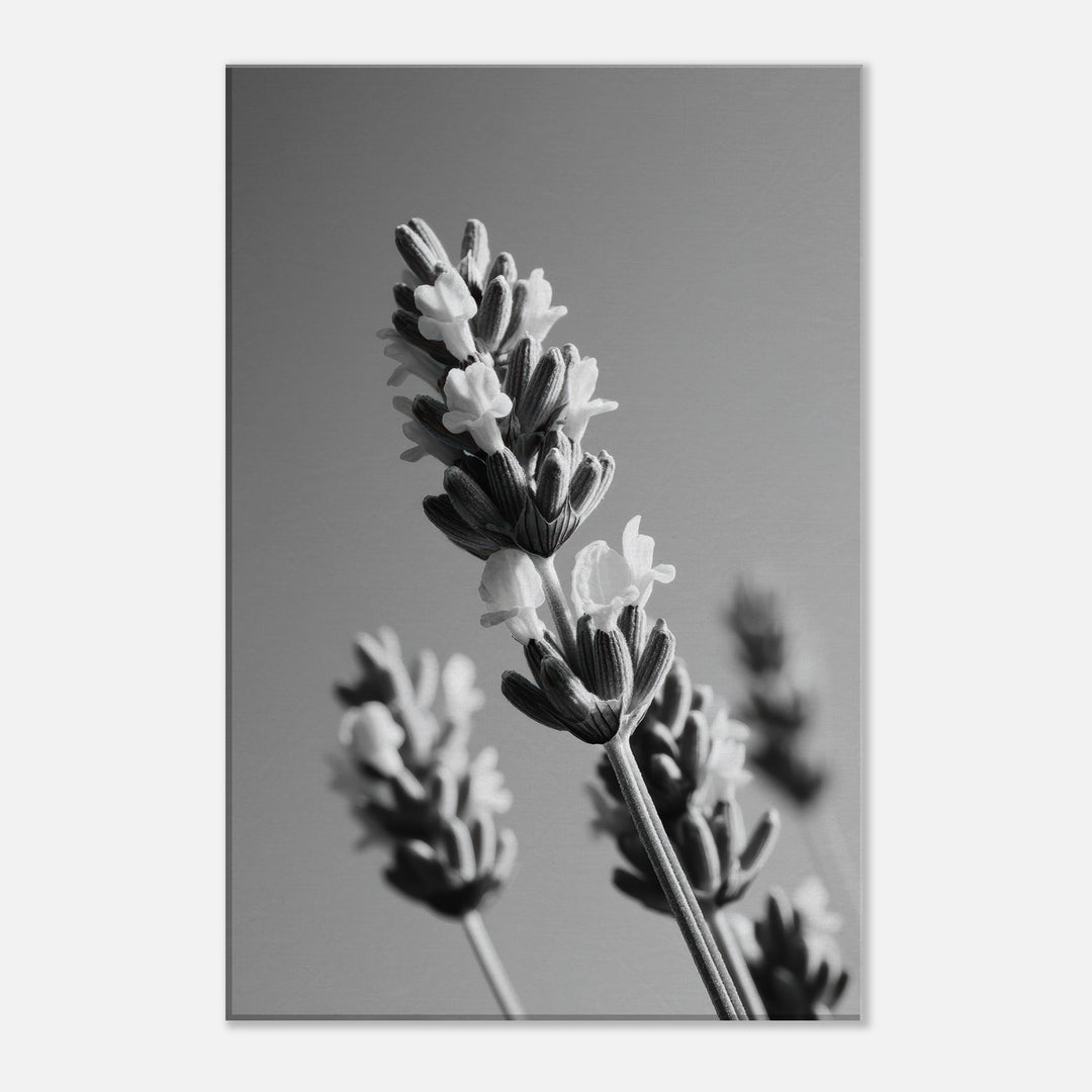 7f2420fe-0365-4665-ba6b-8057adcce410