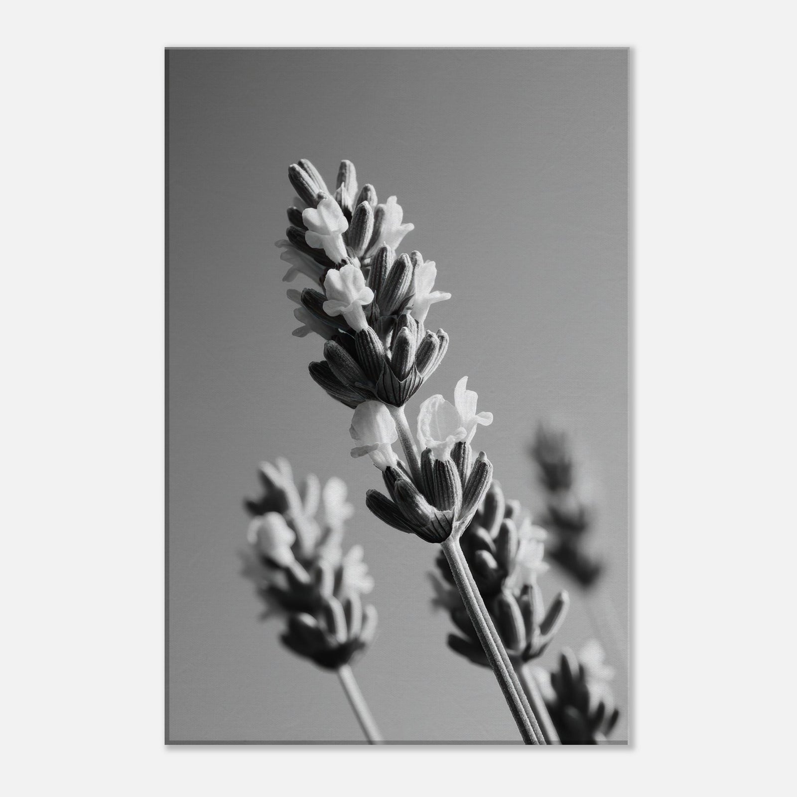 7f2420fe-0365-4665-ba6b-8057adcce410