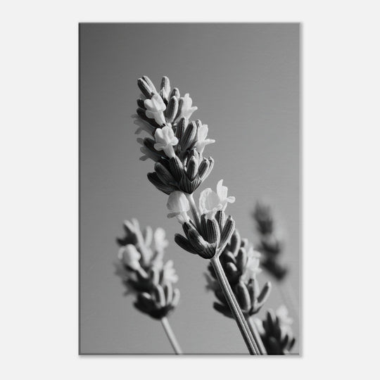 7f2420fe-0365-4665-ba6b-8057adcce410