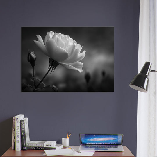 80dbbc10-6f06-4405-b5f9-353f9b9820d3