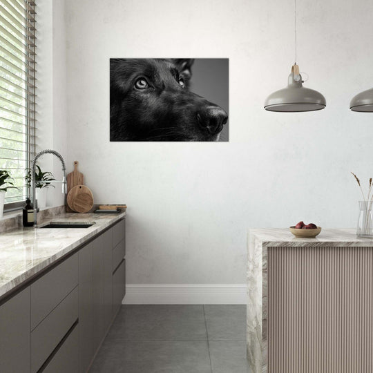 817a19c1-a31b-4363-bef9-3961b9aac8b8