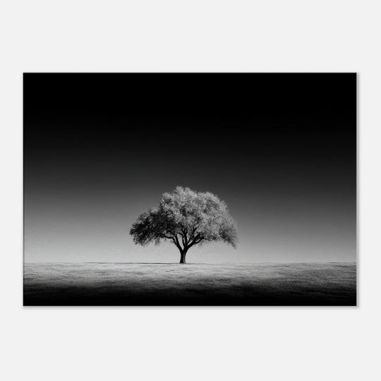 81d8a082-532c-4ac5-8911-5bce29212f04