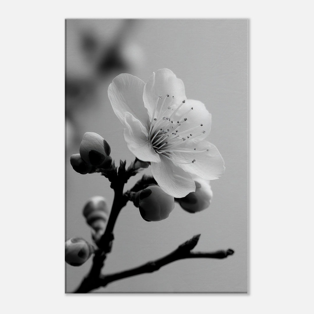 81fbc4c6-395f-4c6a-beb6-f89232814422