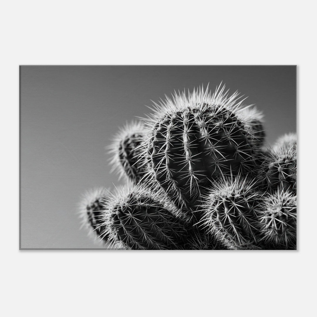 821dcd1a-5615-4aff-8b2b-4adee2cde496