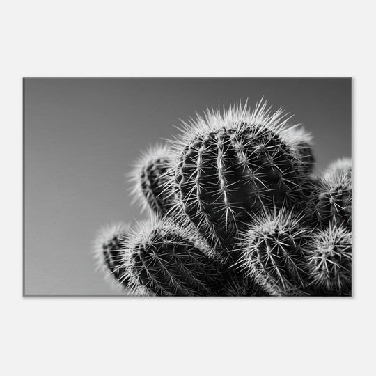 821dcd1a-5615-4aff-8b2b-4adee2cde496