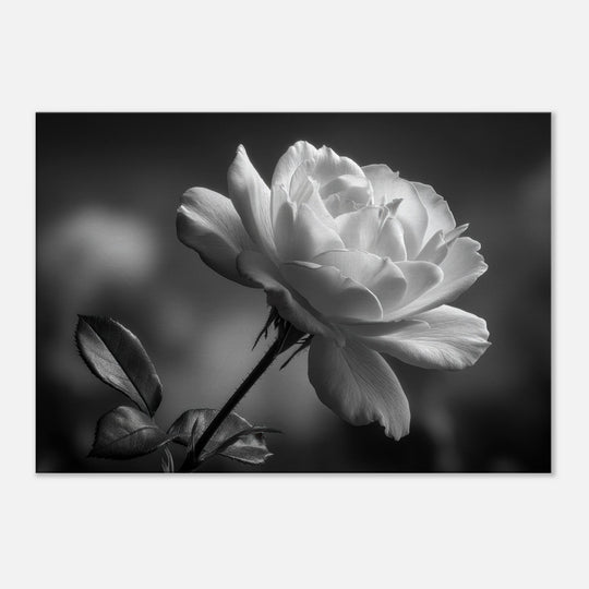 82c58d28-e47a-4c69-83cb-0dfb3c6a4a07