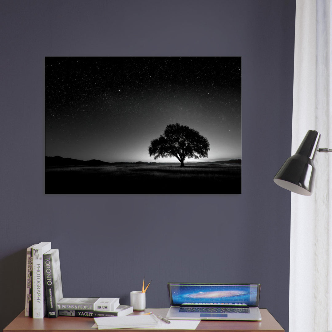 8473d5da-29d9-46b6-8e02-5a3c99ec287a