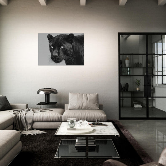 8560b15e-907d-48e9-86e7-df894adc4cf6