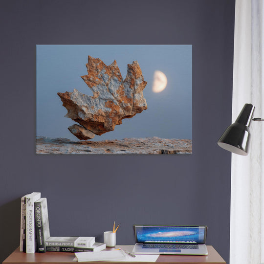 8572a1fa-bd0a-47c5-bafb-b0ef31fe8f36