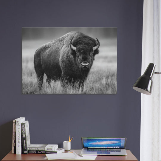 860c7a76-c8e7-43f4-826a-37db4d92d3b3