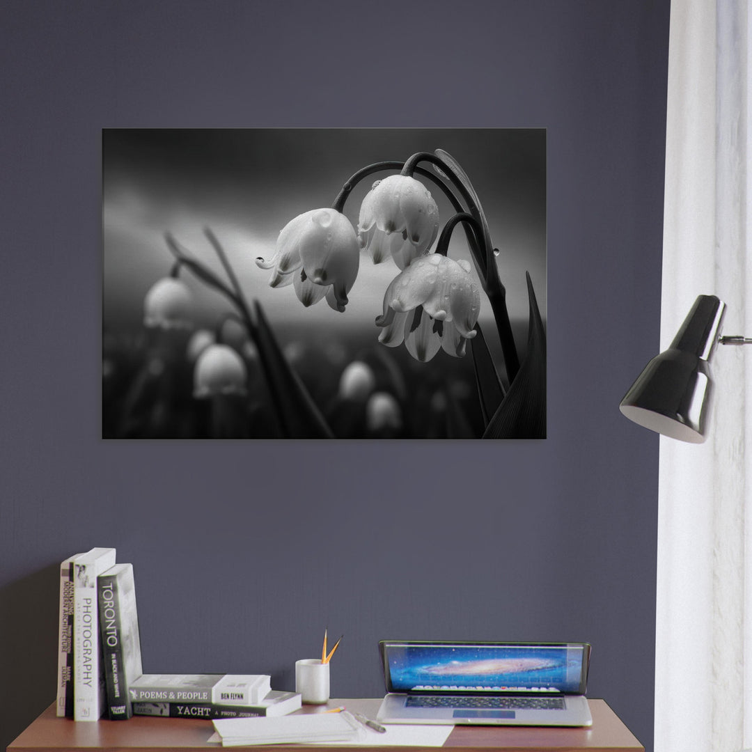 867218eb-7e35-429e-8d2f-cb47ade90eda