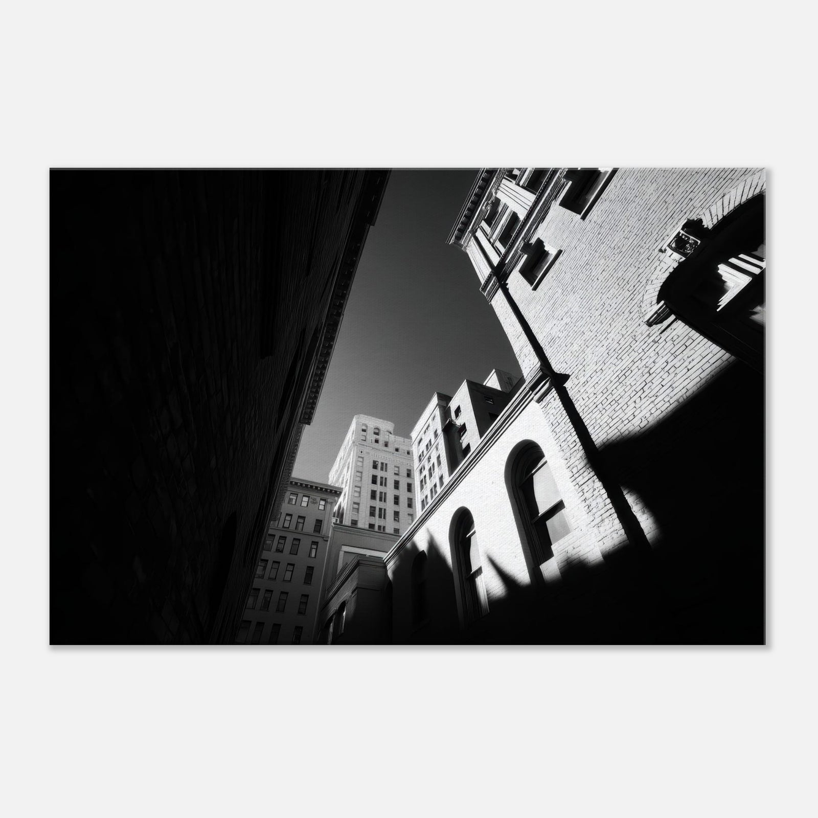 86c860cf-43d5-4a69-8eaa-50e59bf777f5