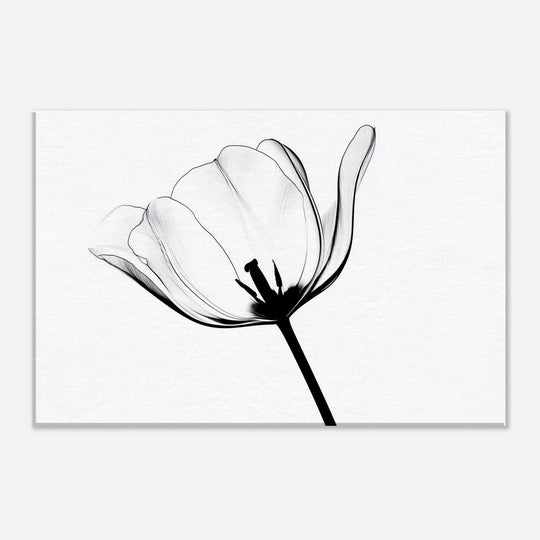 86d16de5-f293-45b5-88a3-7af37aa2b73f