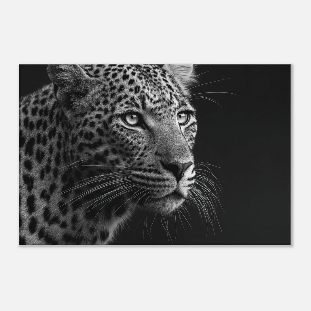 879211bc-b876-4343-a164-83ed8a316103