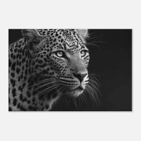 879211bc-b876-4343-a164-83ed8a316103