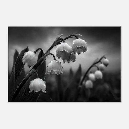 87e22fbc-c770-45a0-bdf6-9937e28801a6