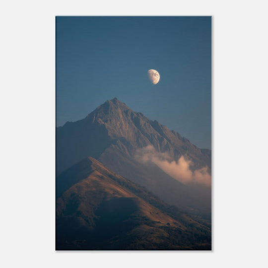 882d0d8e-51a4-4d84-89d1-8861ba013b10