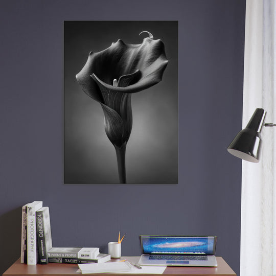 885d0559-4b90-47ac-8ae1-65c6bcc697df