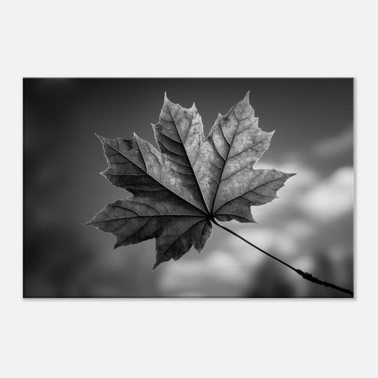 88997396-c5e0-4e04-9ed9-e102bb4f3e62