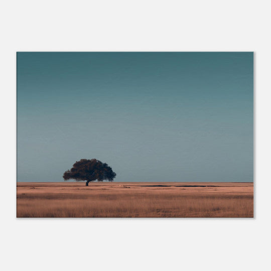 88a5092a-2aaf-49b0-a116-94c67092eb56