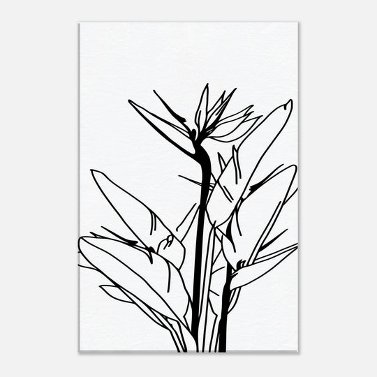 89bb1367-580d-4426-8be2-2920b057aff8