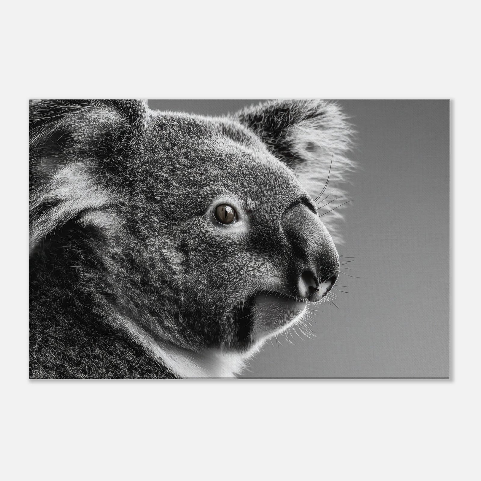 8a5caeb1-f4b4-44e3-9d28-fdf65edd35e7