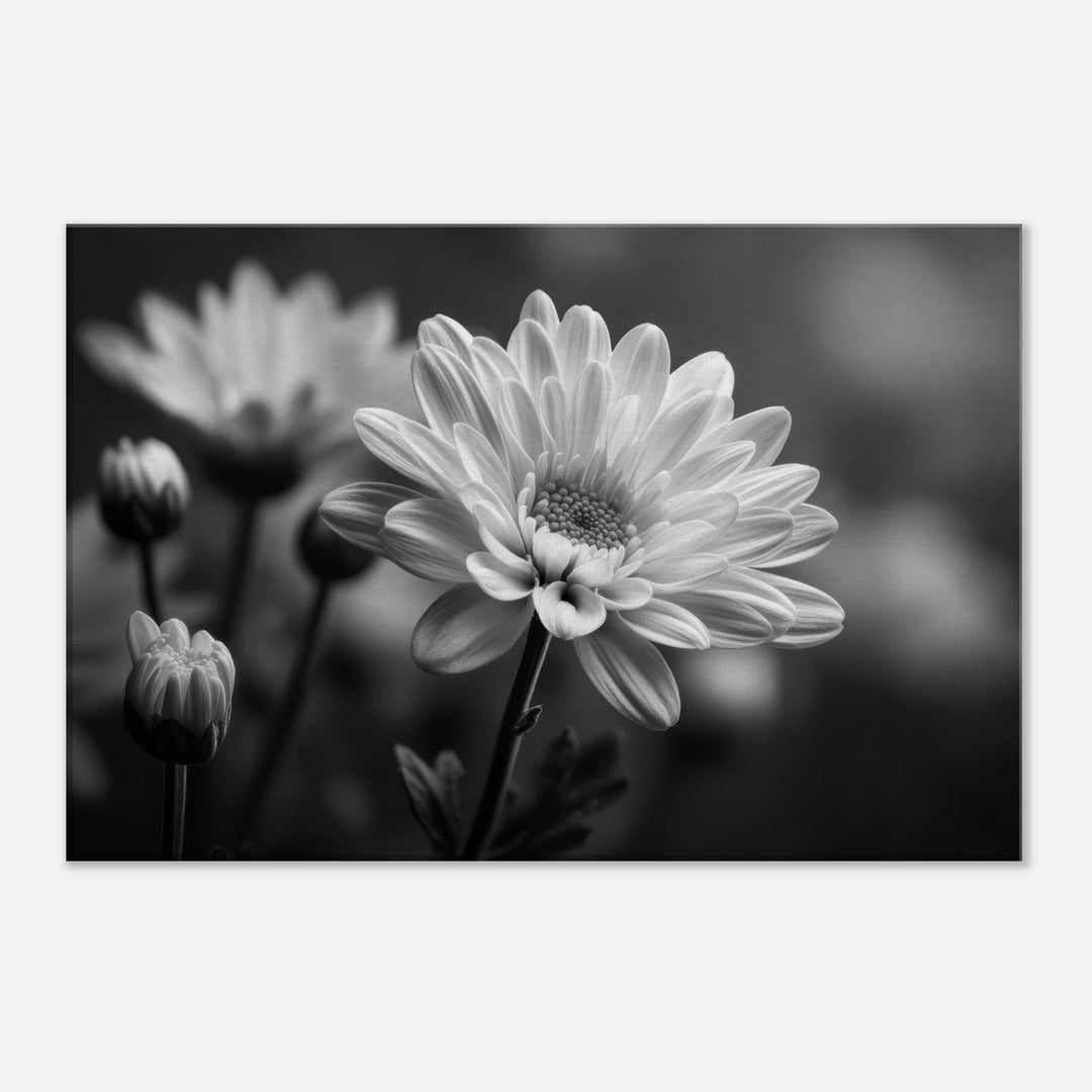 8ac7d58c-d6d8-4460-985d-2aee1dbb0b22